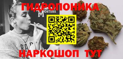 spice Кизилюрт