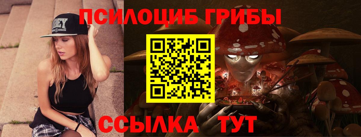 купить наркотики цена  Псилоцибиновые грибы Magic Shrooms  Вход с VPN  Рязань 
